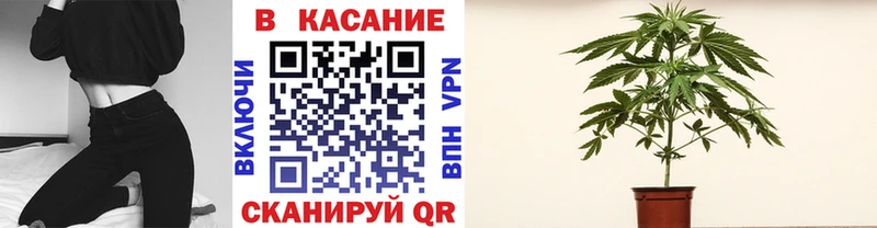Купить наркотики Заринск ГАШИШ  Марихуана  Меф 