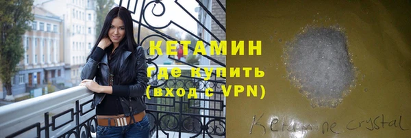 стаф Дмитриев