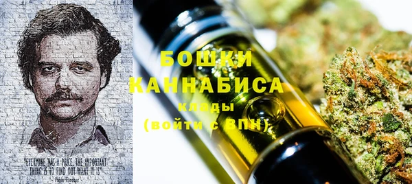 стаф Дмитриев