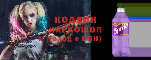 стаф Дмитриев