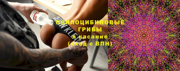 гидропоника Дмитровск