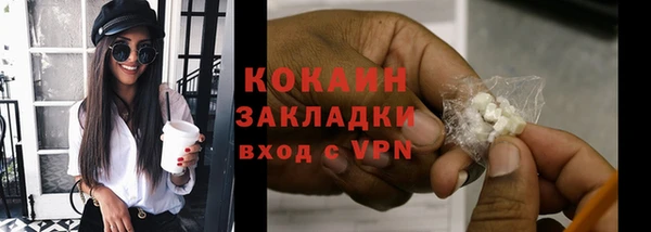 стаф Дмитриев