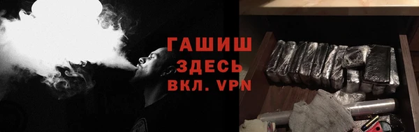стаф Дмитриев