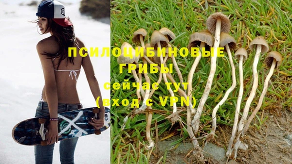 стаф Дмитриев