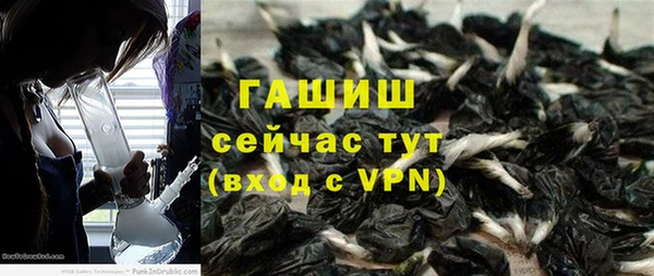 стаф Дмитриев
