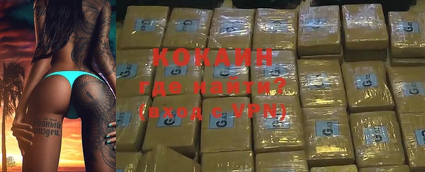 стаф Дмитриев