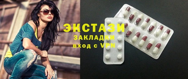стаф Дмитриев