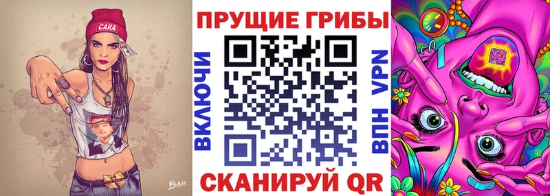 Псилоцибиновые грибы прущие грибы Заринск